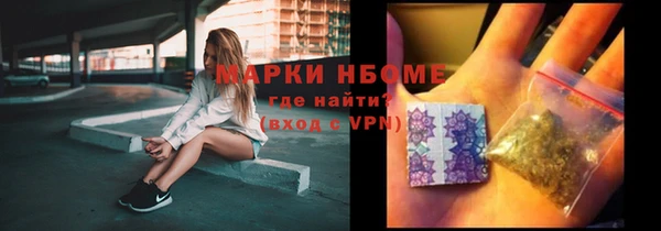 хмурый Абаза