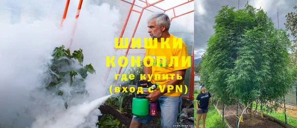 хмурый Абаза