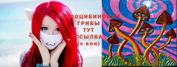 хмурый Абаза