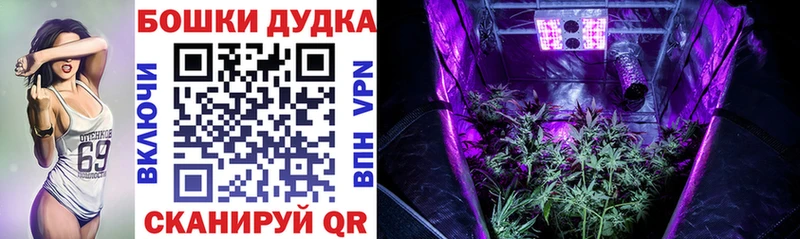 MEGA зеркало  Анадырь  Шишки марихуана семена 